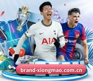 brand-xiongmao.com.cn APP 界面